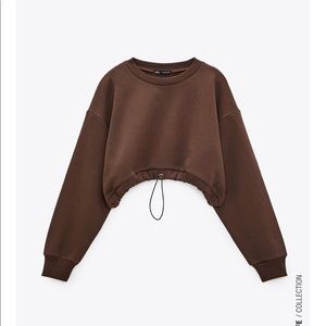 Never Worn Zara chocolate brown sweatshirt